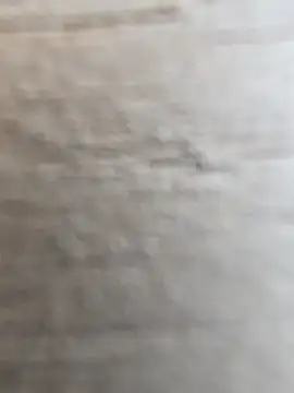 Snapshot of manish_8826 chatting on February 2026 08:42:01 AM manish 8826 online show from February 2026 08:42:01 AM