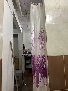 Snapshot of Romie_rous chatting on February 2026 01:19:01 PM Romie rous online show from February 2026 01:19:01 PM