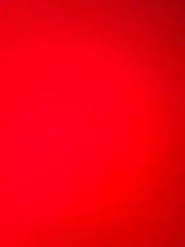 Snapshot of DocCock021 chatting on February 2026 09:44:02 PM DocCock021 online show from February 2026 09:44:02 PM