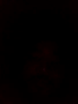 Frederico3302 online show from March 2026 07:15:01 AM