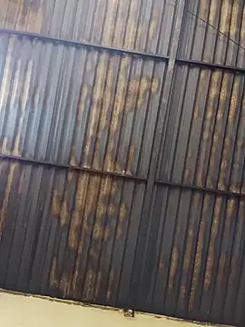 Linka998 online show from April 2026 04:23:02 AM