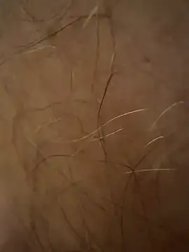 benoitxxx online show from March 2026 06:47:01 PM