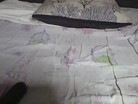 Hot-litchie online show from February 2026 11:06:02 AM