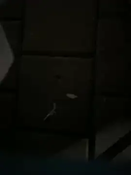 Snapshot of Darkhotcouple chatting on February 2026 09:22:02 PM Darkhotcouple online show from February 2026 09:22:02 PM