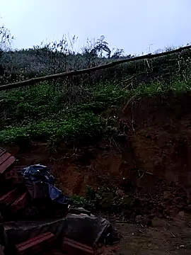 lovely-742 online show from March 2026 02:07:01 AM