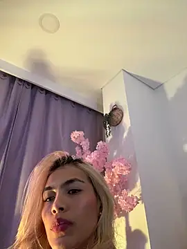 soffia 7 online show from June 2026 03:19:02 AM