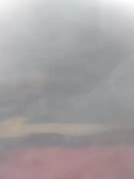 cobrosdepagos online show from March 2026 03:06:02 PM