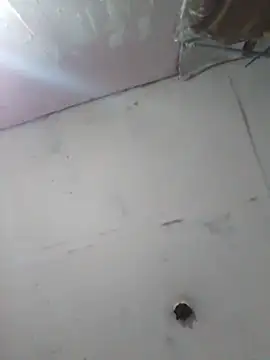 cobrosdepagos online show from April 2026 04:17:02 AM