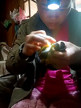 nelina 12345 online show from March 2026 01:31:01 AM