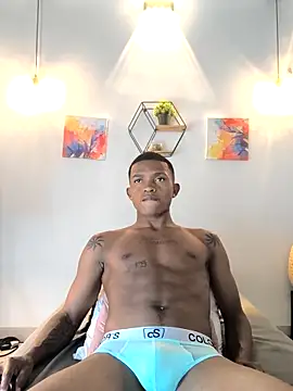 Snapshot of hanssmitt chatting on February 2026 07:14:02 PM hanssmitt online show from February 2026 07:14:02 PM