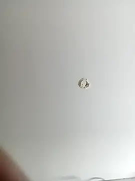 Snapshot of ladyyhardcore chatting on February 2026 12:50:02 AM ladyyhardcore online show from February 2026 12:50:02 AM