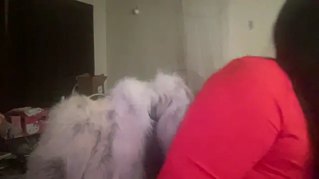 FarahKatt online show from February 2026 03:58:01 AM