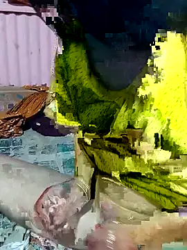 mimpake online show from April 2026 10:24:02 AM