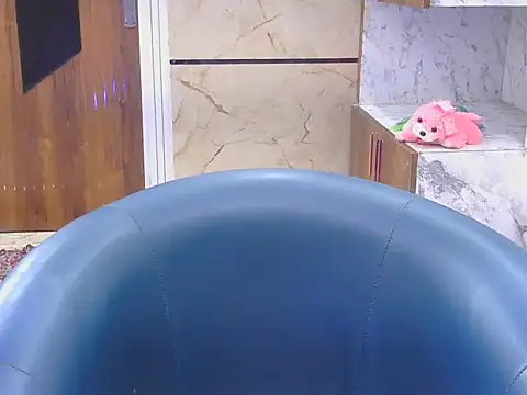 Snapshot of Bold-mahi chatting on March 2026 04:47:01 AM Bold-mahi online show from March 2026 04:47:01 AM