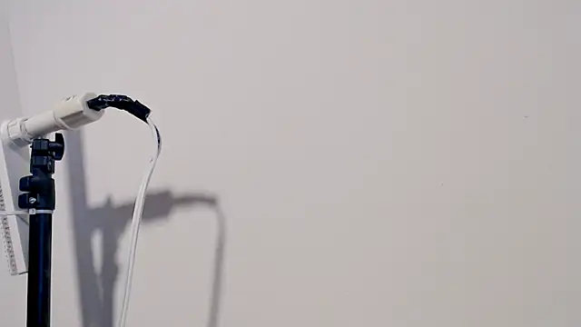 Snapshot of MARYXS1 chatting on February 2026 12:58:01 PM MARYXS1 online show from February 2026 12:58:01 PM