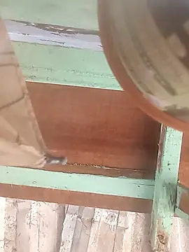 Snapshot of euchapo99 chatting on February 2026 01:51:01 PM euchapo99 online show from February 2026 01:51:01 PM