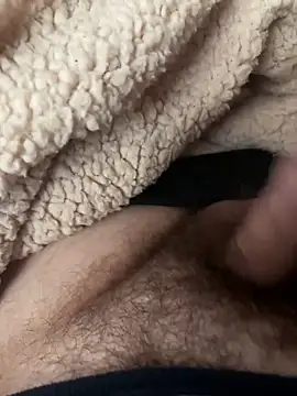 D4n13l47 online show from February 2026 12:03:01 PM