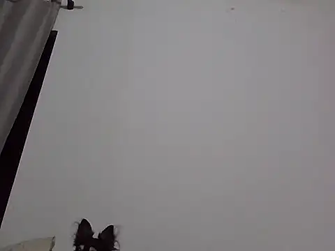 machodotado97 online show from March 2026 05:41:01 AM