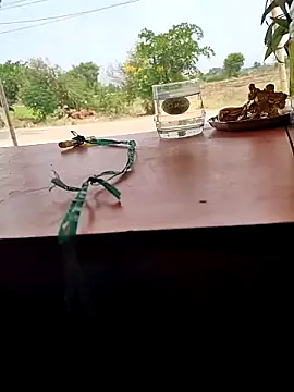 Chandu1245 online show from April 2026 08:07:02 AM