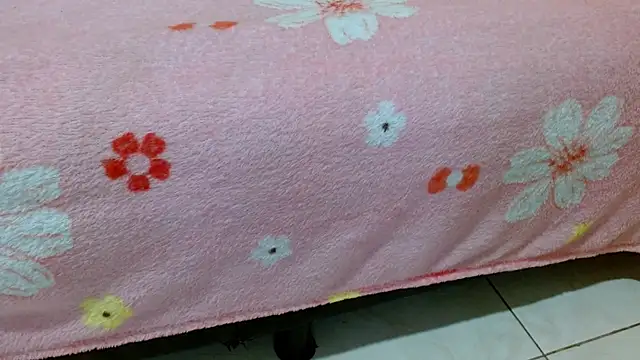 valkahot20 online show from March 2026 06:35:01 AM