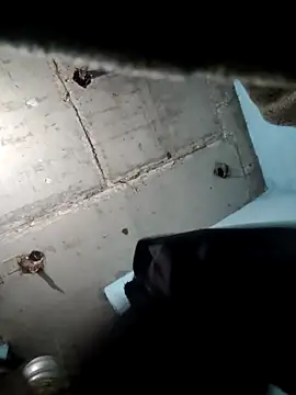 Snapshot of M_Lisha chatting on February 2026 06:39:02 PM M Lisha online show from February 2026 06:39:02 PM