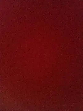 Snapshot of Felipe244907 chatting on April 2026 07:36:01 PM Felipe244907 online show from April 2026 07:36:01 PM