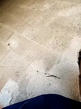 Snapshot of negopreto_ chatting on February 2026 07:34:02 PM negopreto online show from February 2026 07:34:02 PM