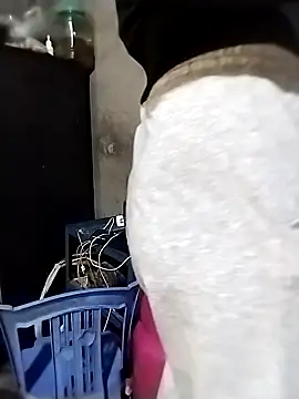 ngocbao11 online show from March 2026 04:29:01 AM