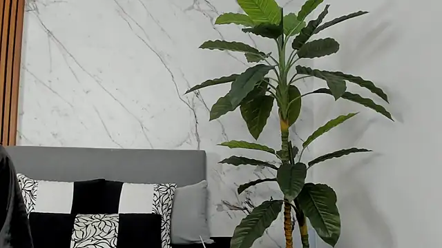 Snapshot of Amara_Velvet_ chatting on July 2026 09:53:02 PM Amara Velvet online show from July 2026 09:53:02 PM