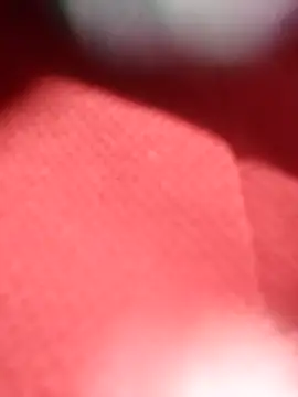 Snapshot of jackkk0011 chatting on February 2026 12:48:02 PM jackkk0011 online show from February 2026 12:48:02 PM