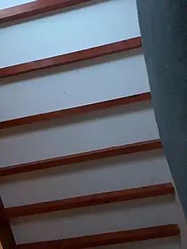 Snapshot of FRbm51 chatting on February 2026 08:06:01 PM FRbm51 online show from February 2026 08:06:01 PM