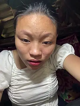 Snapshot of Shin-kin chatting on February 2026 03:49:02 AM Shin-kin online show from February 2026 03:49:02 AM