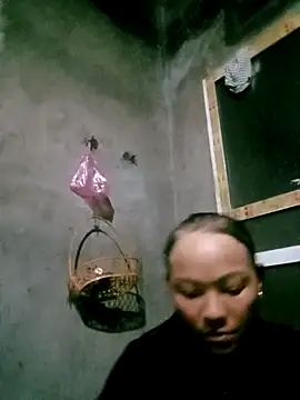 elen8800 online show from March 2026 10:16:01 PM