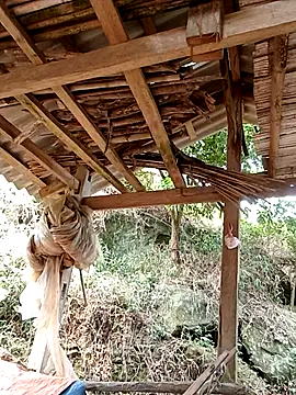 elen8800 online show from April 2026 04:07:02 AM