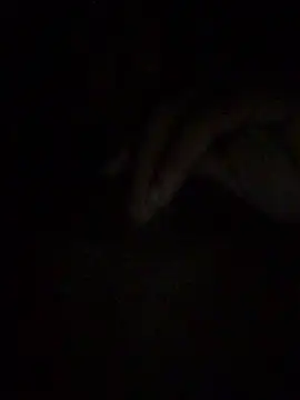 Snapshot of gostinhopauzudo chatting on March 2026 03:21:02 AM gostinhopauzudo online show from March 2026 03:21:02 AM