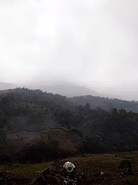 Snapshot of lyly_sexx chatting on March 2026 04:29:01 AM lyly sexx online show from March 2026 04:29:01 AM