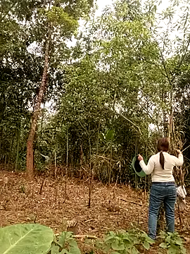 Snapshot of lyly_sexx chatting on March 2026 01:05:02 AM lyly sexx online show from March 2026 01:05:02 AM