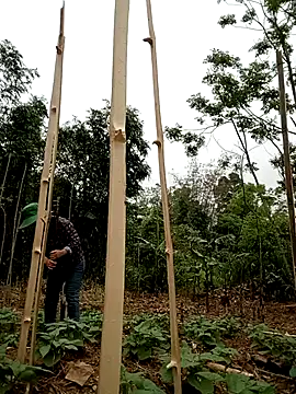 Snapshot of lyly_sexx chatting on April 2026 02:01:01 AM lyly sexx online show from April 2026 02:01:01 AM