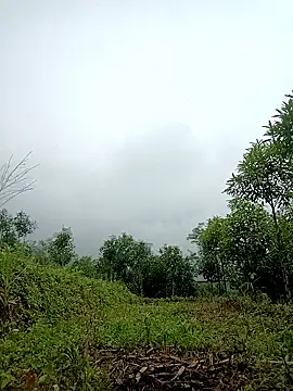 Snapshot of lyly_sexx chatting on April 2026 02:20:02 AM lyly sexx online show from April 2026 02:20:02 AM