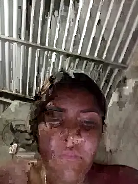 single kitten online show from March 2026 03:22:01 AM