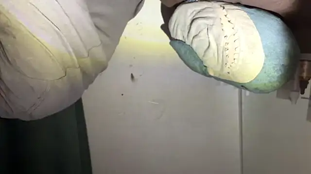 Mark Shoyer2 online show from April 2026 10:12:02 PM