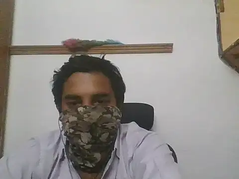 gregariouscarpet online show from May 2026 12:46:02 PM