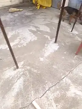 mylove202022 online show from March 2026 02:06:02 AM