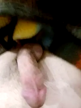 Adix 02six online show from March 2026 01:54:01 AM