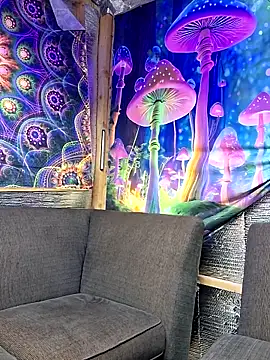 Snapshot of drednasty chatting on March 2026 12:01:02 AM drednasty online show from March 2026 12:01:02 AM