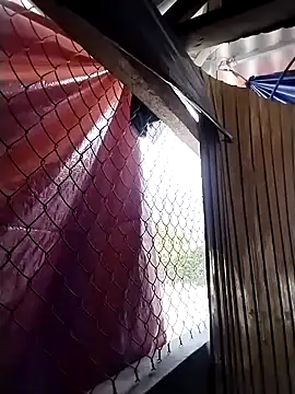 mylove-cute online show from March 2026 08:36:01 AM