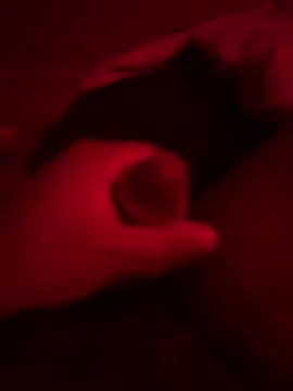 daddyprndl online show from March 2026 02:04:02 AM