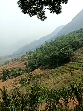 Yuhi3d online show from April 2026 03:45:01 AM