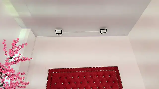 Daphne glas online show from April 2026 01:41:01 PM