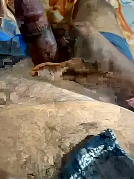 puneBC online show from April 2026 04:32:01 PM